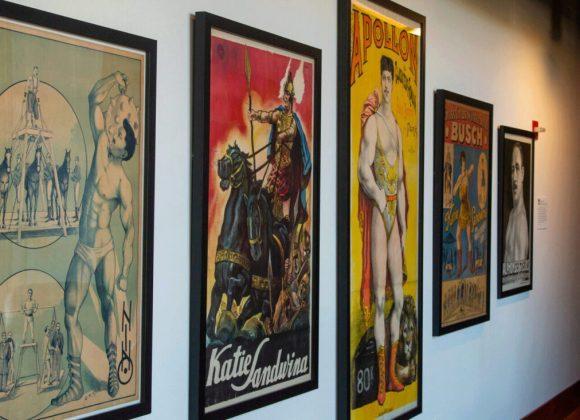 Five posters of strong men and women, including one of Katie Sandwina and another of Apollon (Louis Uni), from the Todd Poster Collection, in the Reading Room.
