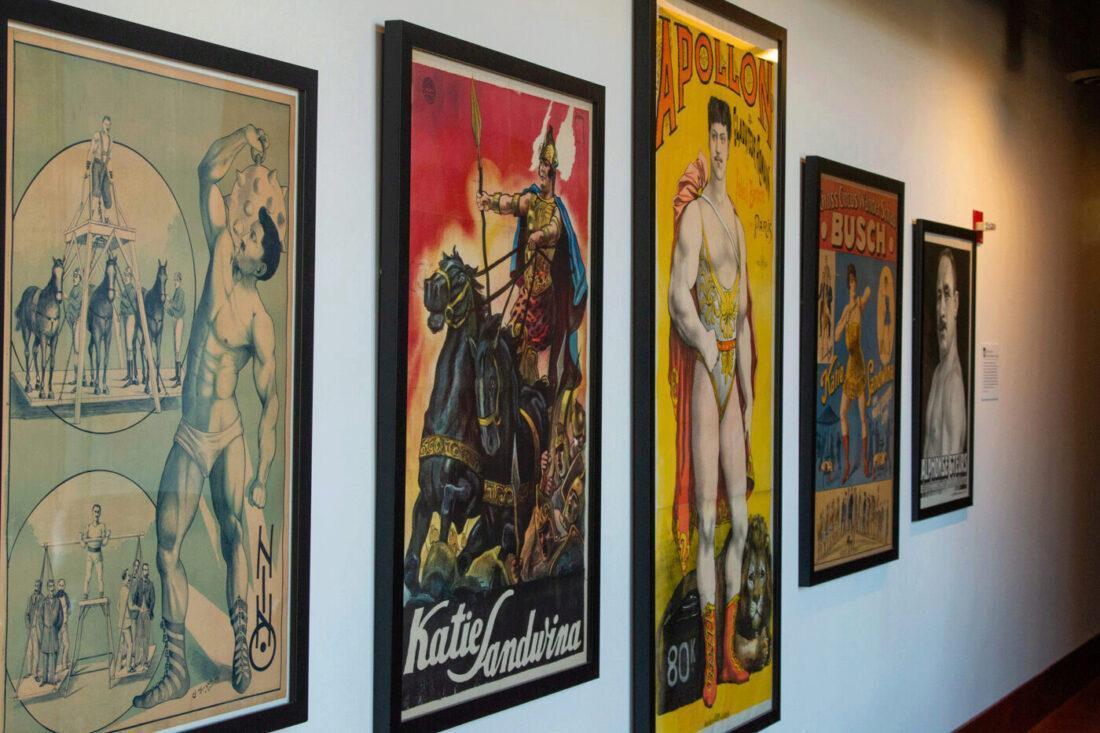 Five posters of strong men and women, including one of Katie Sandwina and another of Apollon (Louis Uni), from the Todd Poster Collection, in the Reading Room.