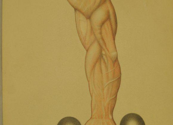 Bodybuilder David P. Willoughby's Arm Art Drawing, including an arm and a dumbbell, from the David P. Willoughby Collection.