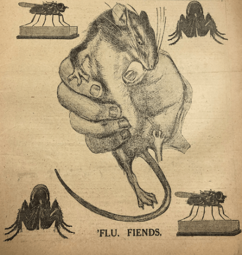 A section of the front cover from Health and Strength, December 6, 1919. Caption "Flu. Fiends." with illustrations of a rat in human hand and insects, likely ticks and mosquitoes.