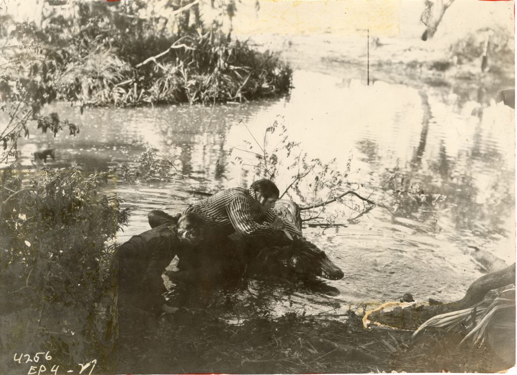 Black and white photograph of Joe Bonomo and another person in water. Bonomo has one arm around an alligator and is holding a knife to its head.